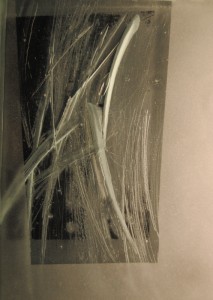 26-XV.-001  